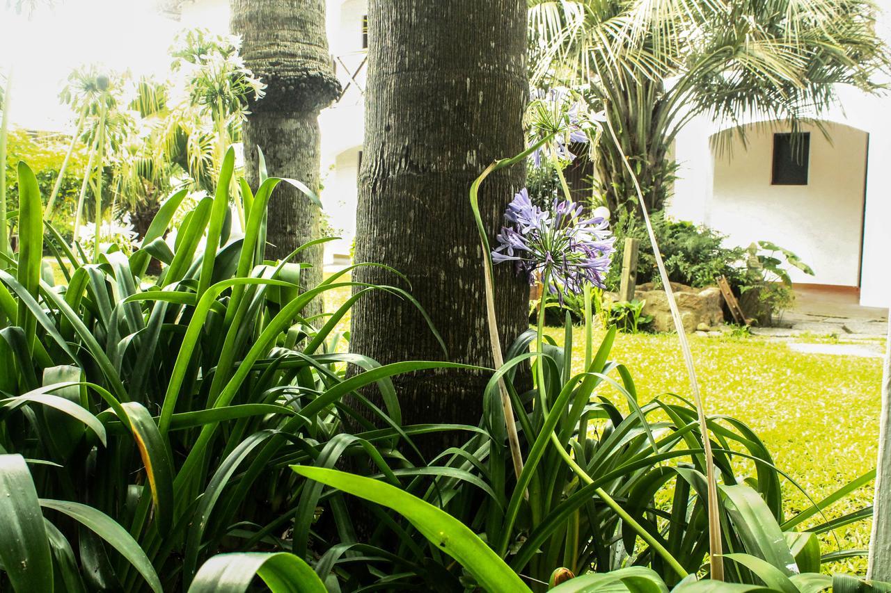 Hotel Del Diablo ปุนตาเดลดีอาโบล ภายนอก รูปภาพ